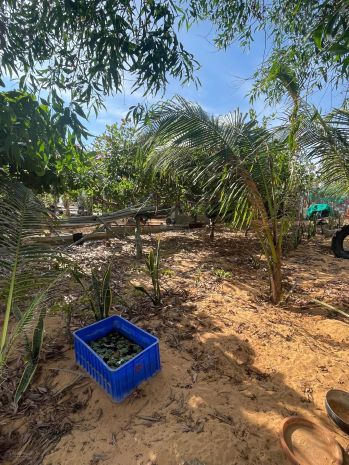 Hàng hiếm cần bán gấp 510m2 đất kề võ nguyên giáp, mũi né 7294371