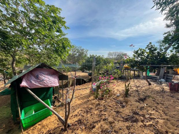 Hàng hiếm cần bán gấp 510m2 đất kề võ nguyên giáp, mũi né 7294373