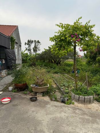 1.x tỷ lô đất 78m2 view ao thoáng mát tại hòa nghĩa - zalo 7294395