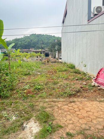 Cơ hội sở hữu đất đẹp khu tái định cư cánh đồng bông, đại 7294456