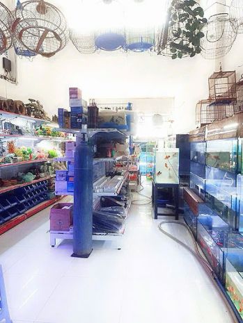 Mặt tiền kinh doanh nhộn nhịp phước long b q9-100m2-chỉ 7294511