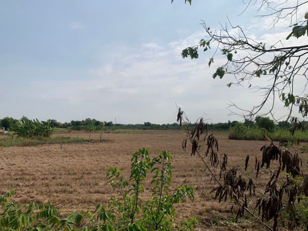 Đất mặt tiền - hưng long, đa phước, bình chánh 15000m² chỉ 7294697