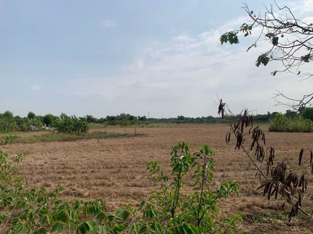 Đất mặt tiền - hưng long, đa phước, bình chánh 15000m² chỉ 7294698