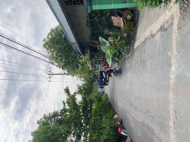 Đất mặt tiền - hưng long, đa phước, bình chánh 15000m² chỉ 7294699