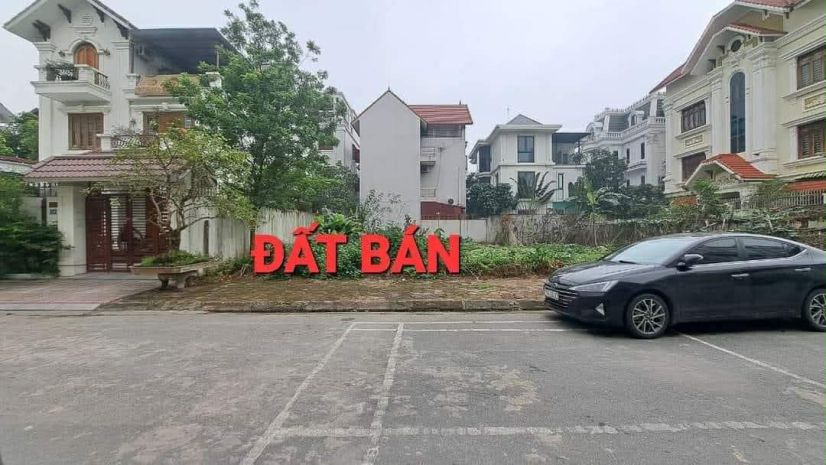 Bán đất phân lô khu 31ha trâu quỳ, 250m, mặt tiền 12.5m, 7294862