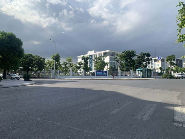 Bán đất phân lô khu 31ha trâu quỳ, 250m, mặt tiền 12.5m, 7294865