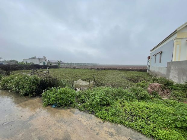 Chính chủ cần bán 250m² đất thổ cư tại xóm 13, quang thiện 7295126