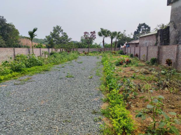 Bán đât đồng bèn  quốc oai 451 m2,mt 13,5 m mặt đường 7295348