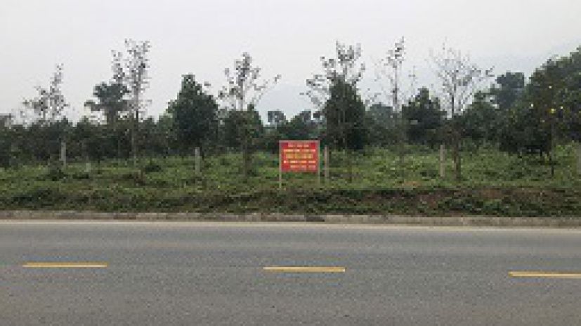 Cho thuê 3 lô đất mặt đường liên vùng  phú thọ  vị trí đẹp 7295485