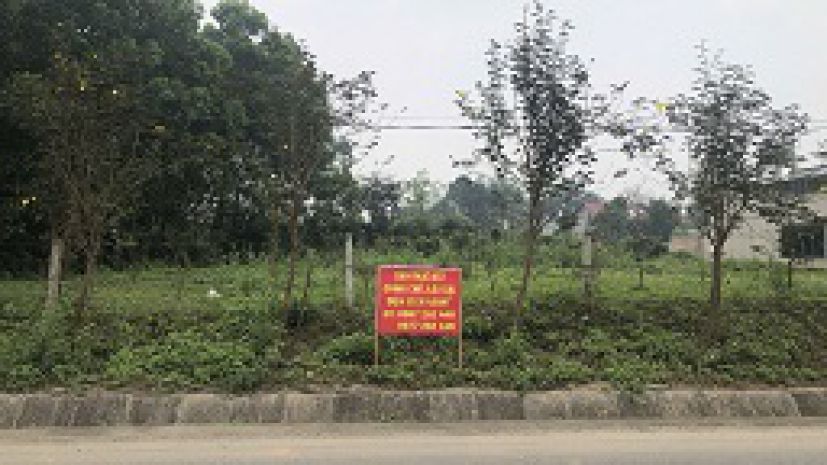 Cho thuê 3 lô đất mặt đường liên vùng  phú thọ  vị trí đẹp 7295486