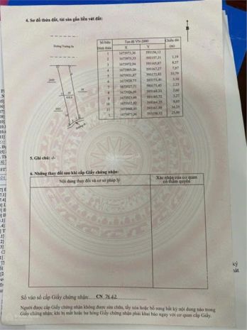 Đất đẹp  giá tốt  cần bán đất tại đường hoàng sa, xã 7296240