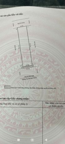 Tiềm năng cực đại - 2 mặt tiền đường nguyễn bỉnh khiêm - 7296958