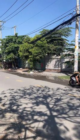 Bán đất mặt tiền tân thới nhất 17  quận 12 - quỹ đất lớn 7297288