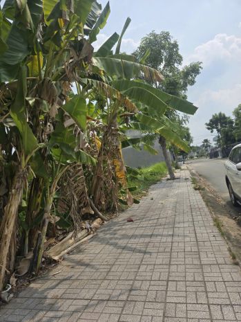 Chính chủ cần bán lô đất 2 mặt tiền đường có vị trí đẹp tại 7297983