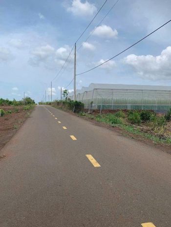 Đầu tư sinh lời - bán lô đất mặt tiền đường ql 55 xã phước 7298385