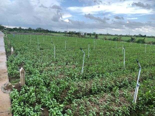 Bán gấp đất nền thổ cư bà lẫy sổ sẵn công chứng ngay 7299225