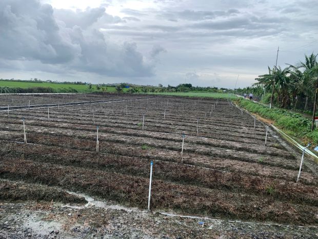 Bán gấp đất nền thổ cư bà lẫy sổ sẵn công chứng ngay 7299226