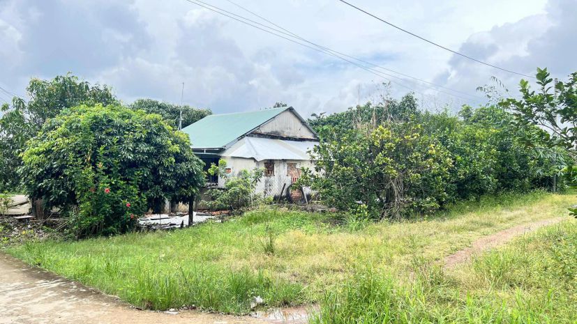 Bán nhà cấp 4. khí hậu trong lành. hàng xóm đông đúc, thân 7299749