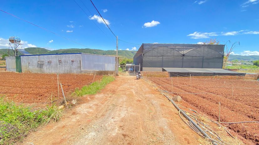 Đất hẻm gần cafe ngọc ngân bên sông, trung tâm đức trọng, lâ 7301109