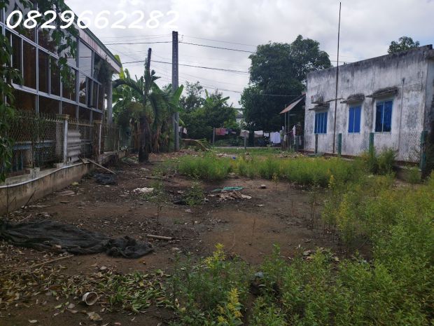 Bán 500m2 đất thổ cư sổ hồng đn, tân khánh đông, tp sa đéc. 7301924