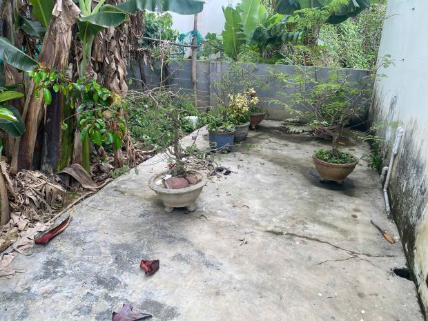 Nhà vườn thoáng mát diên khánh  334m²  đường bê tông ô tô 7302499