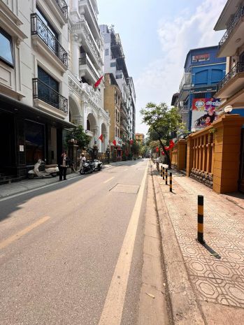 Siêu phẩm linh lang - 103m2 x 10 tầng - mt 11m - dòng tiền 7303853