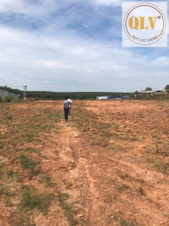 Bán đất trống phước hòa, phú giáo 48.405m² 7304176