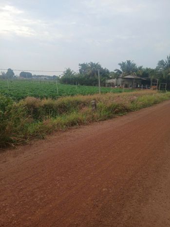 Cần tiền thanh lý gấp đất tại tân châutây ninh giá chỉ 3.5 7304192