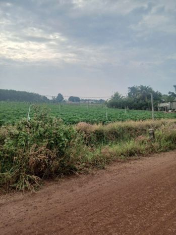 Cần tiền thanh lý gấp đất tại tân châutây ninh giá chỉ 3.5 7304193