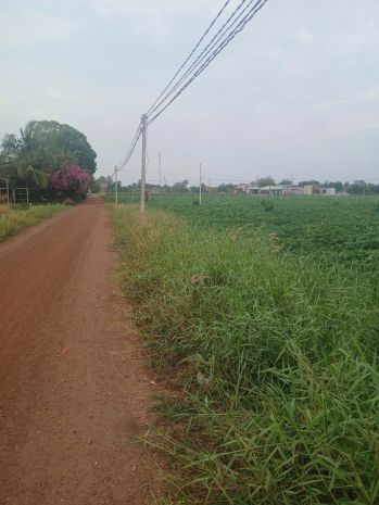 Cần tiền thanh lý gấp đất tại tân châutây ninh giá chỉ 3.5 7304194