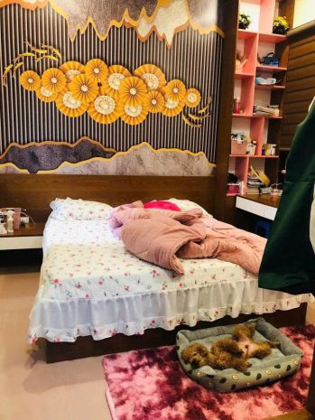 Bán nhà lương thế vinh  thanh xuân  phân lô  ô tô vào 7304628