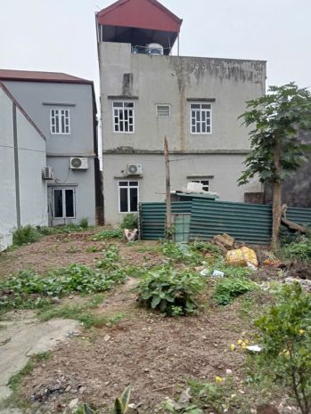 Bán đất lô góc - diện tích rộng - view bờ sông - hoàng liệt 7304742