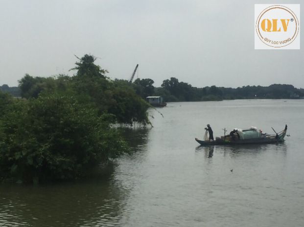 Bán nhà máy sản xuất thức ăn gia súc, gia cầm, thủy sản - tn 7305857