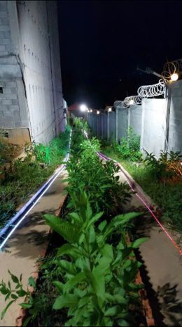 Chính chủ bán nhà đất có sẵn nhà yến diện tích 1249m² tại 7306036