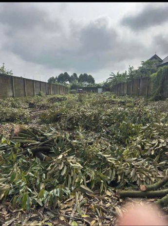 Chính chủ bán 300m2 đất full thổ cư tại xã phú bình, huyện 7306249