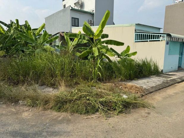 Đất đẹp  giá tốt  cần bán đất 2 mặt tiền tại đường trường 7306260