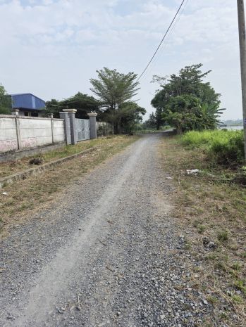 Ban đât măt tiên 55x66m gia 30 ty đương 12m vo văn 7306957