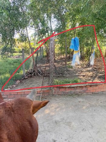 Bán đất gần chợ tua hai - vị trí đẹp - huyện châu thành - 7308997