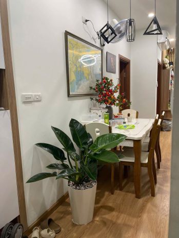 Căn ssh09 tầng 12a. kđt hà quang 1 vcn phước hải 7311401