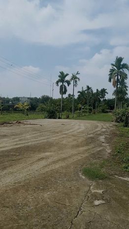 Siêu phẩm đất lớn củ chi  1 hecta có 2.000m² thổ cư  giá 7312362