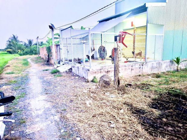 Đất đẹp  giá tốt   chính chủ cần bán xã mỹ phú, thủ thừa, 7314534