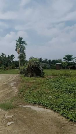 Ban đât măt đương 6400m2 gia 60 ty đương xuân thơi 7314553