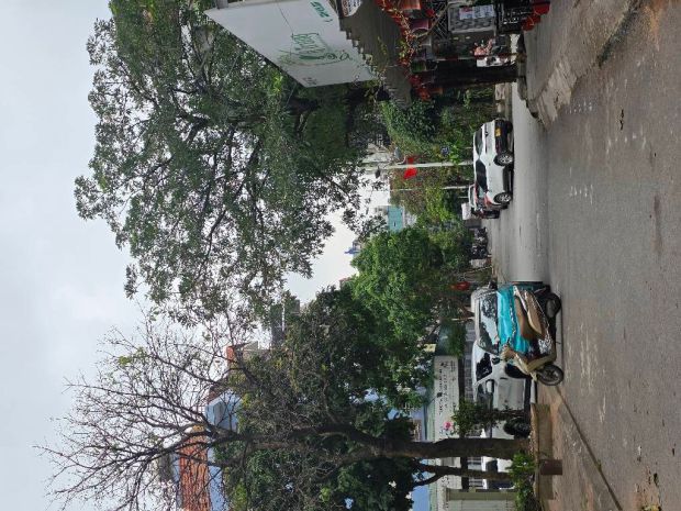 Siêu phẩm nhà liền kề  kinh doanh đỉnh cao  phường việt 7314668