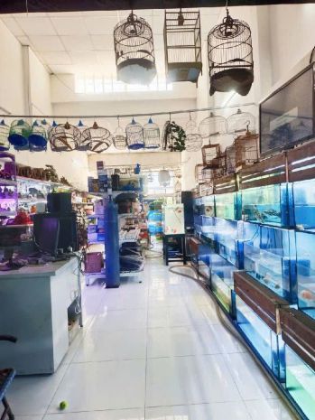 Nơi bạn có thể vừa ở vừa kinh doanh tốt-khu vực nhộn 7315055