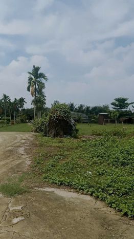 Nhà vườn 6.400m²  1.350m² thổ cư  đường xe tải xuân thới 7317820