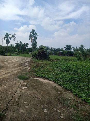 Nhà vườn 6.400m²  1.350m² thổ cư  đường xe tải xuân thới 7317821