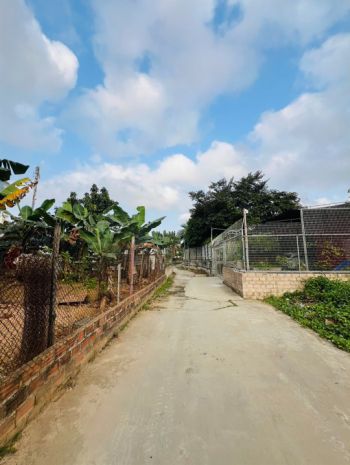 Bán đất đẹp thiên hương  thuỷ nguyên  hải phòng 7324329