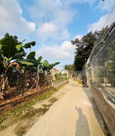 Bán đất đẹp thiên hương  thuỷ nguyên  hải phòng 7324330