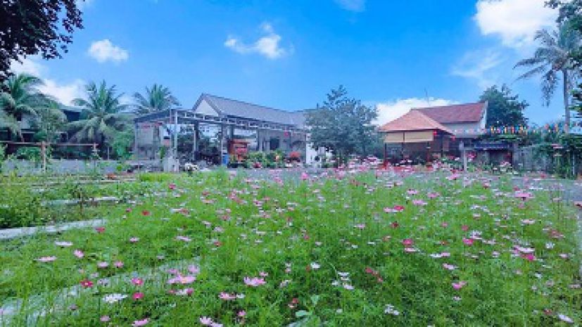 Cho thuê hơn 2100m2 farm tại diên lạc, diên khánh, khánh 7326665