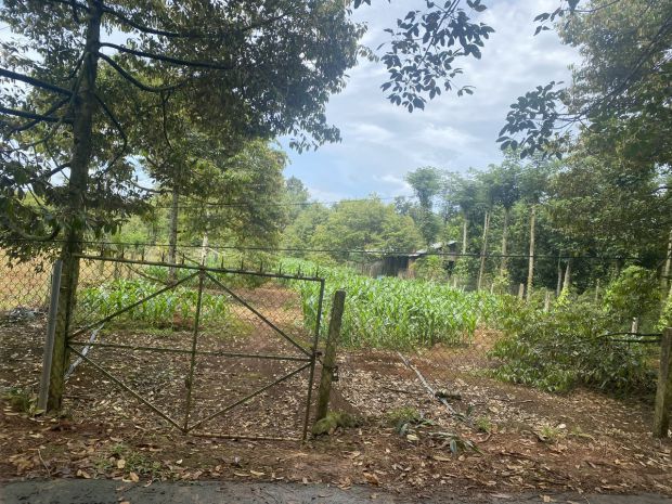 Đất chính chủ - giá tốt địa chỉ xã xà bang, huyện châu đức, 7327587